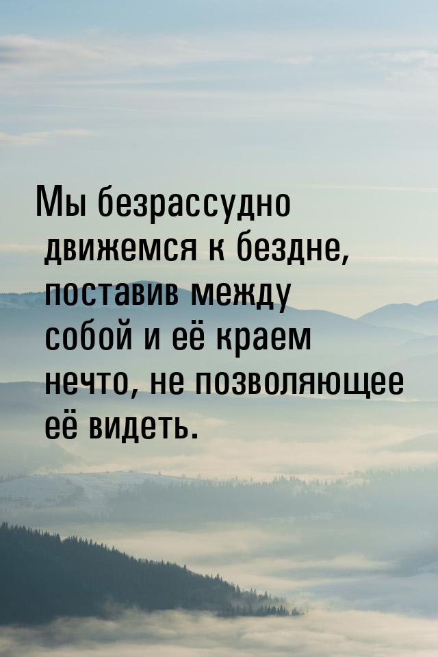 Мы безрассудно движемся к бездне, поставив между собой и её краем нечто, не позволяющее её