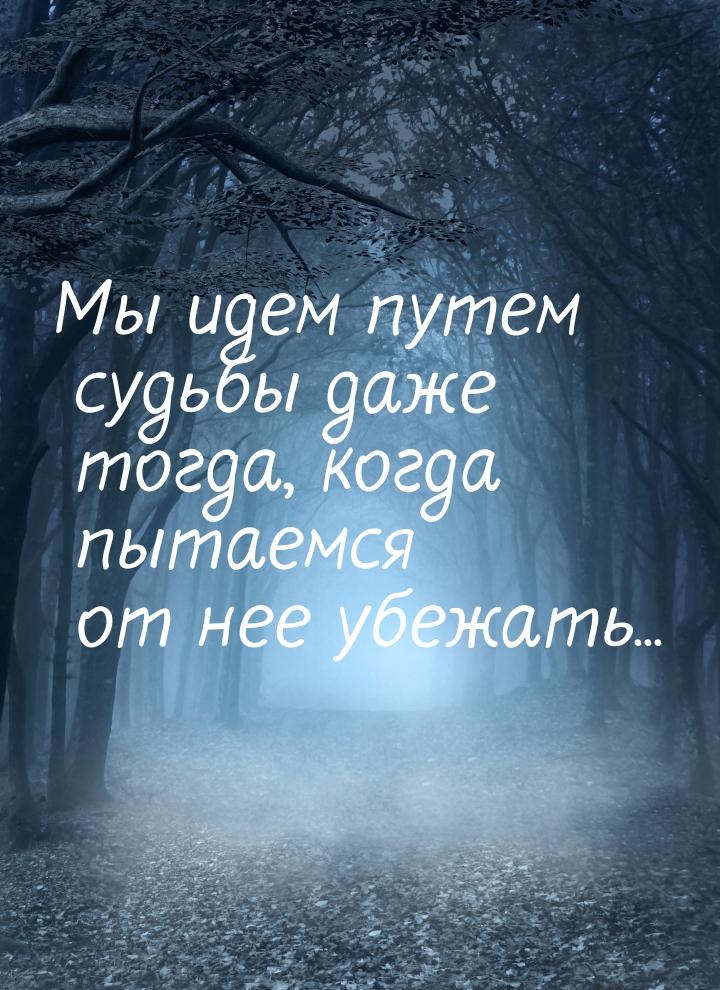 Мы идем путем судьбы даже тогда, когда пытаемся от нее убежать...