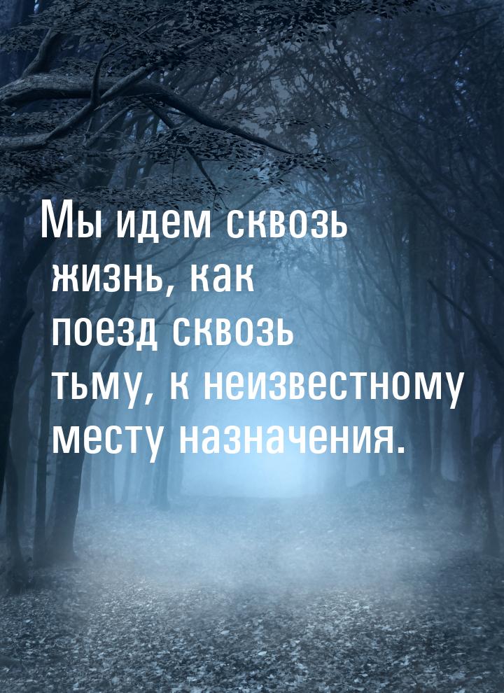 Мы идем сквозь жизнь, как поезд сквозь тьму, к неизвестному месту назначения.