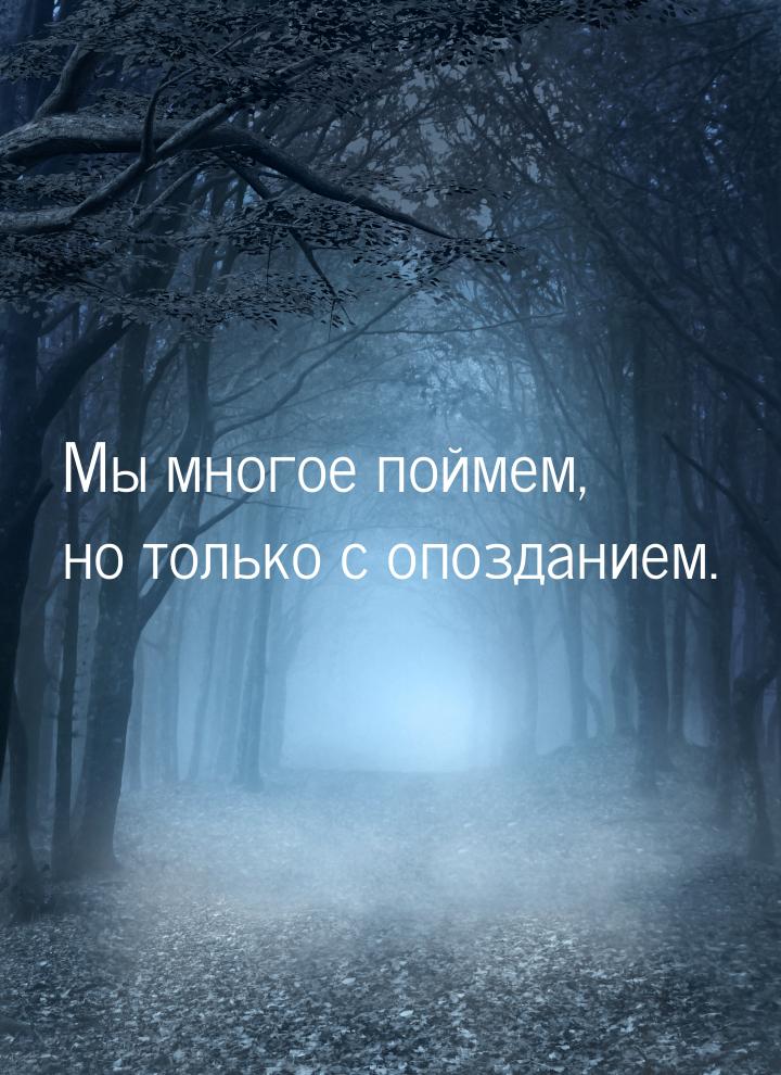 Мы многое поймем, но только с опозданием.