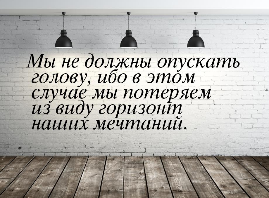 Мы не должны опускать голову, ибо в этом случае мы потеряем из виду горизонт наших мечтани