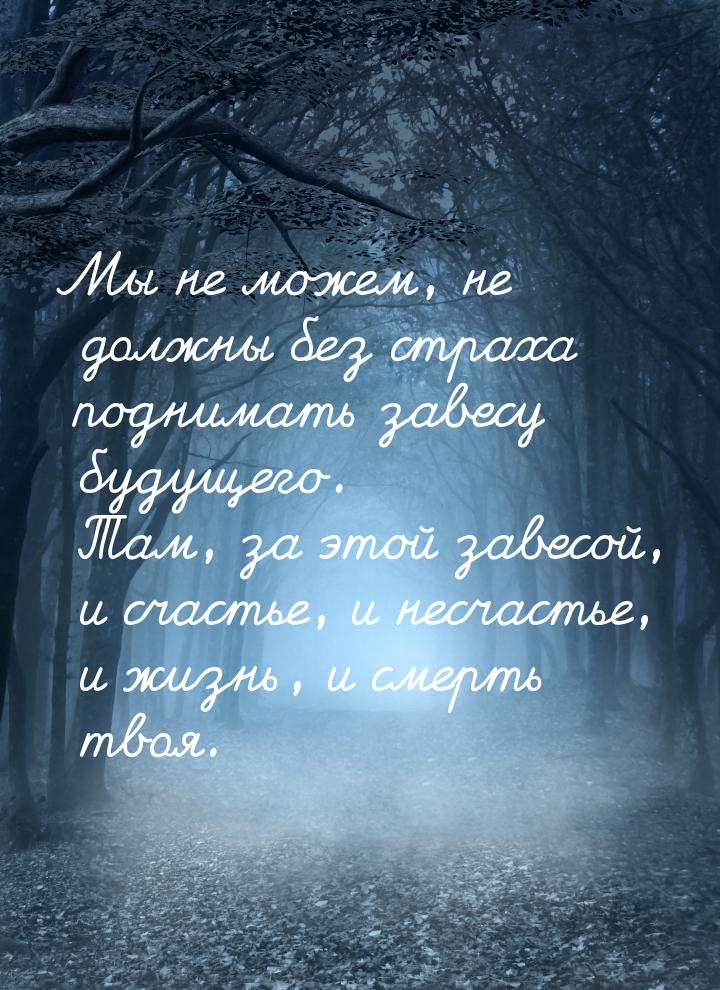 Мы не можем, не должны без страха поднимать завесу будущего. Там, за этой завесой, и счаст