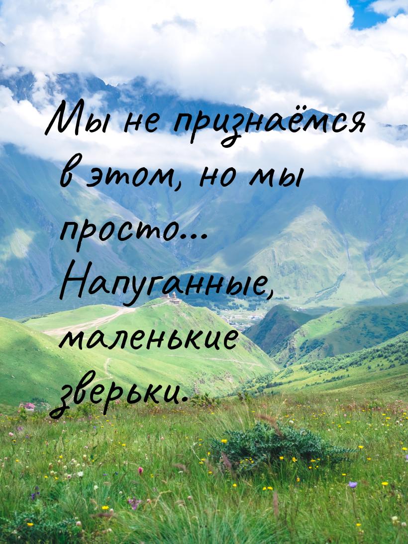 Мы не признаёмся в этом, но мы просто... Напуганные, маленькие зверьки.