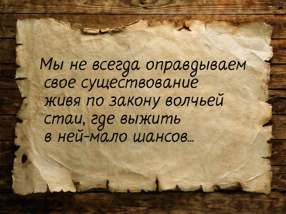 Мы не всегда оправдываем свое существование живя по закону волчьей стаи, где выжить в ней-