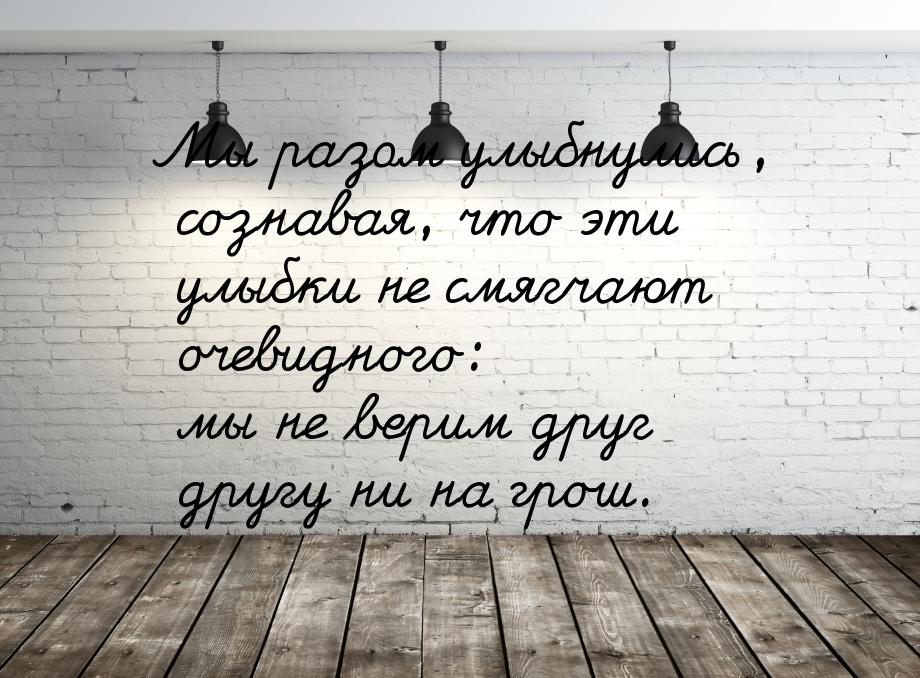 Мы разом улыбнулись, сознавая, что эти улыбки не смягчают очевидного: мы не верим друг дру