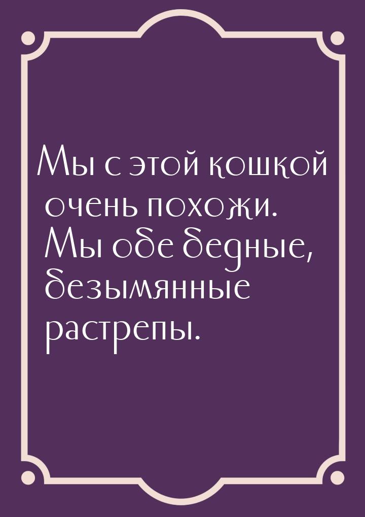 Мы с этой кошкой очень похожи. Мы обе бедные, безымянные растрепы.