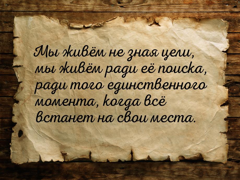 Мы живём не зная цели, мы живём ради её поиска, ради того единственного момента, когда всё