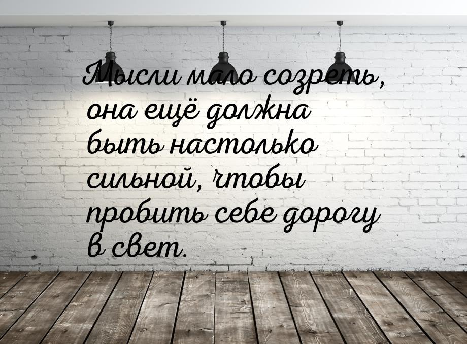 Мысли мало созреть, она ещё должна быть настолько сильной, чтобы пробить себе дорогу в све