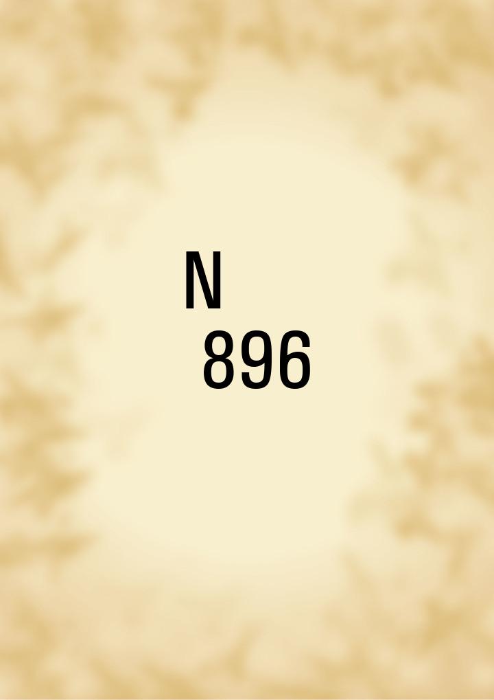N 896