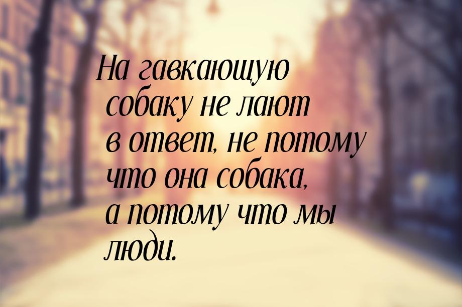 На гавкающую собаку не лают в ответ, не потому что она собака, а потому что мы люди.