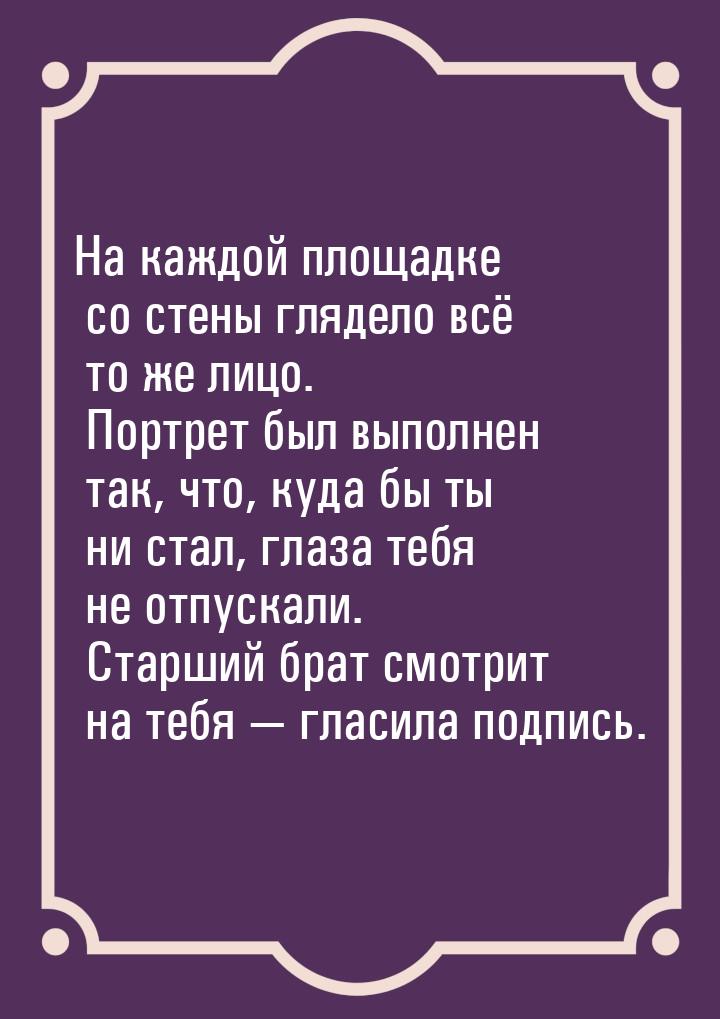 На каждой площадке со стены глядело всё то же лицо. Портрет был выполнен так, что, куда бы