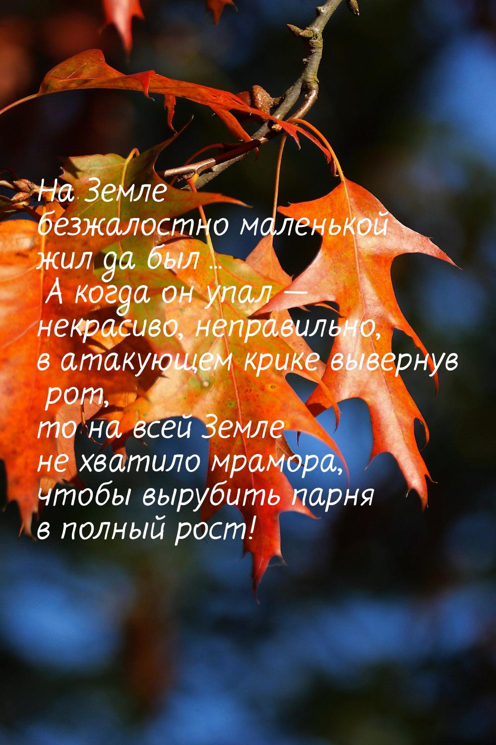 На Земле безжалостно маленькой жил да был ... А когда он упал — некрасиво, неправильно, в 