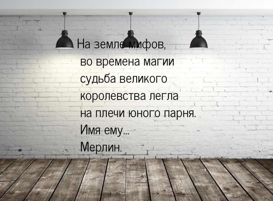 На земле мифов, во времена магии судьба великого королевства легла на плечи юного парня. И