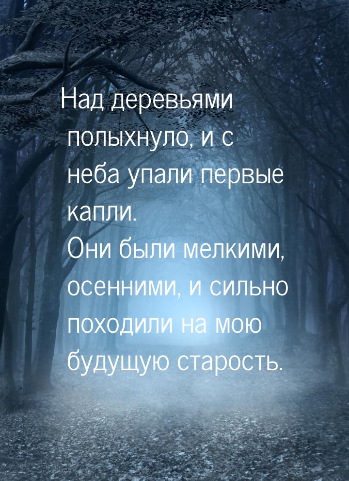 Над деревьями полыхнуло, и с неба упали первые капли. Они были мелкими, осенними, и сильно