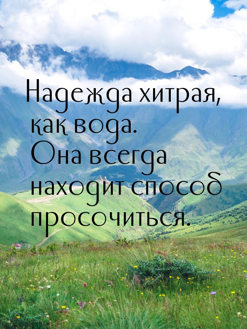 Надежда хитрая, как вода. Она всегда находит способ просочиться.