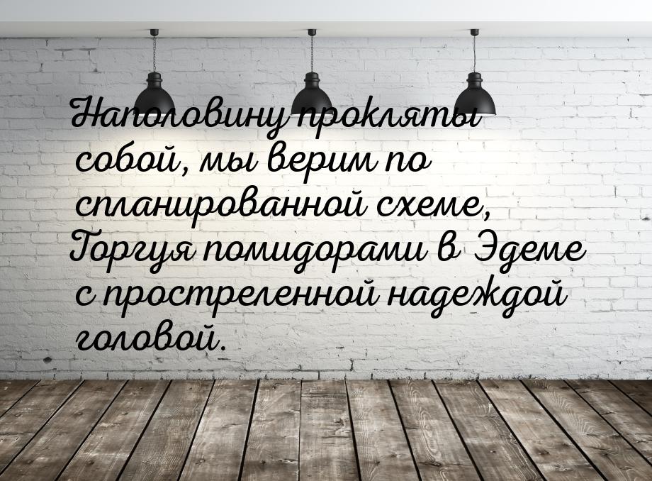 Наполовину прокляты собой, мы верим по спланированной схеме, Торгуя помидорами в Эдеме с п