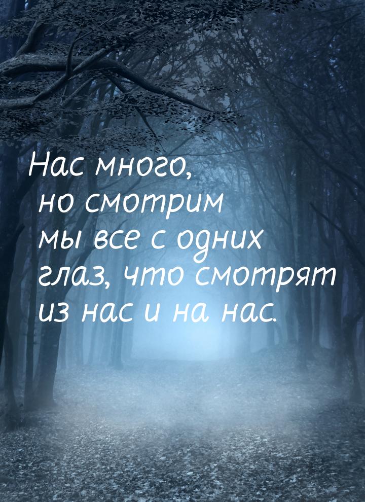 Нас много, но смотрим мы все с одних глаз, что смотрят из нас и на нас.