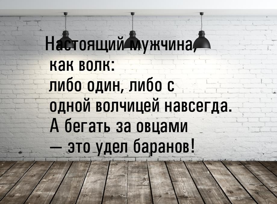 Настоящий мужчина, как волк: либо один, либо с одной волчицей навсегда. А бегать за овцами