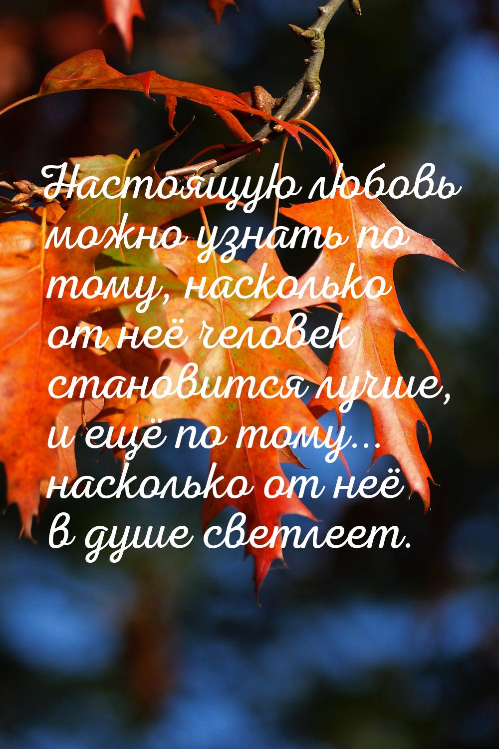 Настоящую любовь можно узнать по тому, насколько от неё человек становится лучше, и ещё по