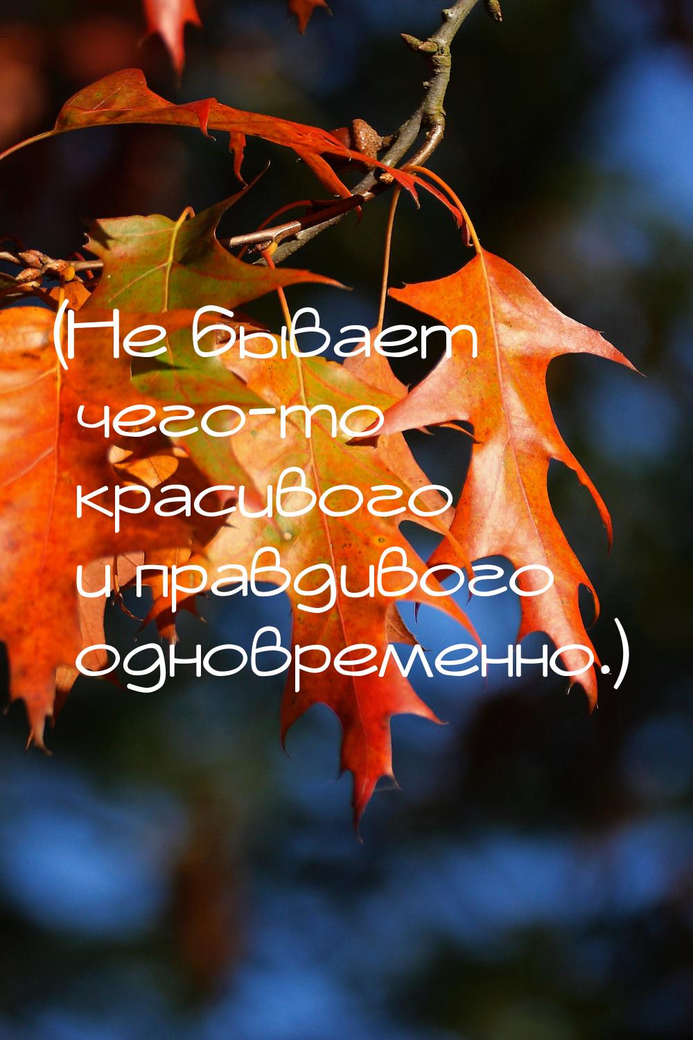 (Не бывает чего-то красивого и правдивого одновременно.)