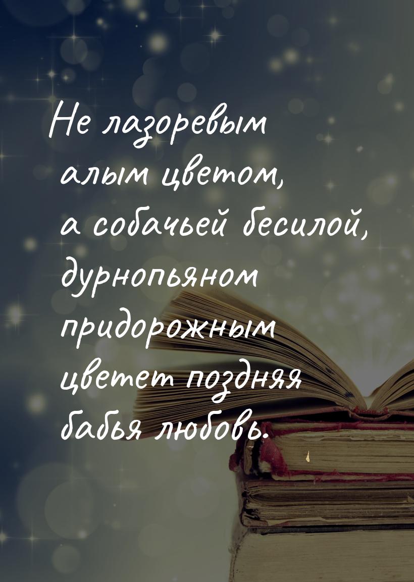 Не лазоревым алым цветом, а собачьей бесилой, дурнопьяном придорожным цветет поздняя бабья