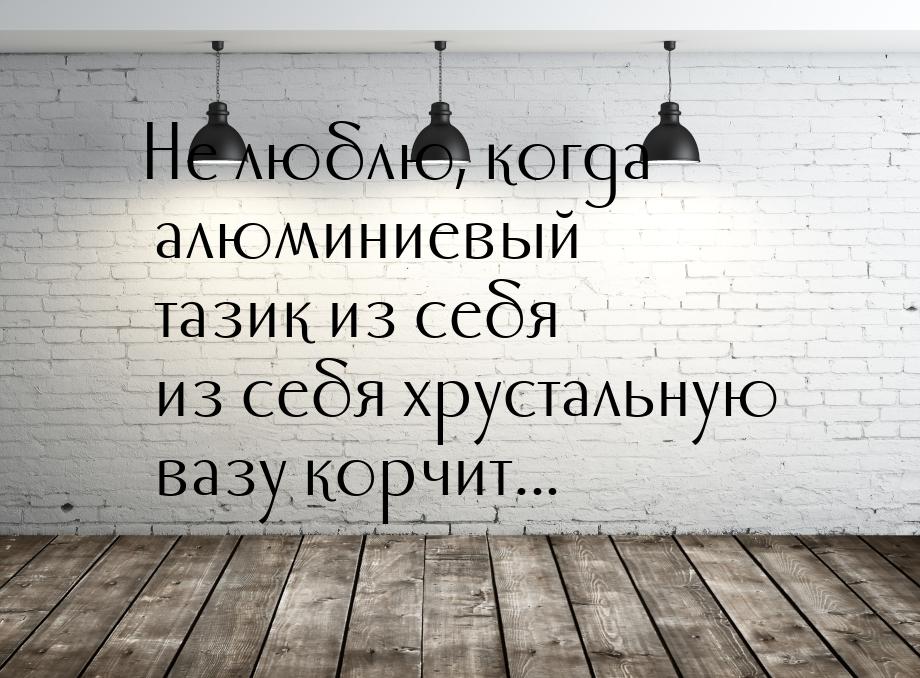 Не люблю, когда алюминиевый тазик из себя из себя хрустальную вазу корчит...