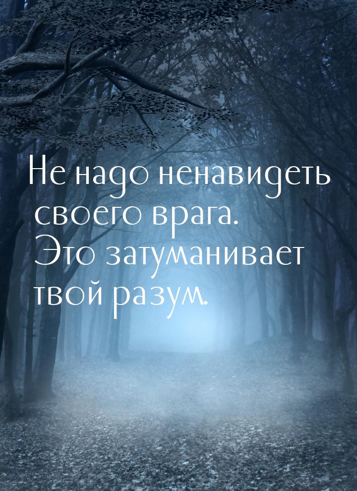 Не надо ненавидеть своего врага. Это затуманивает твой разум.