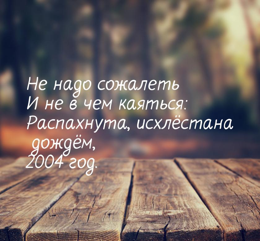 Не надо сожалеть И не в чем каяться: Распахнута, исхлёстана дождём, 2004 год.