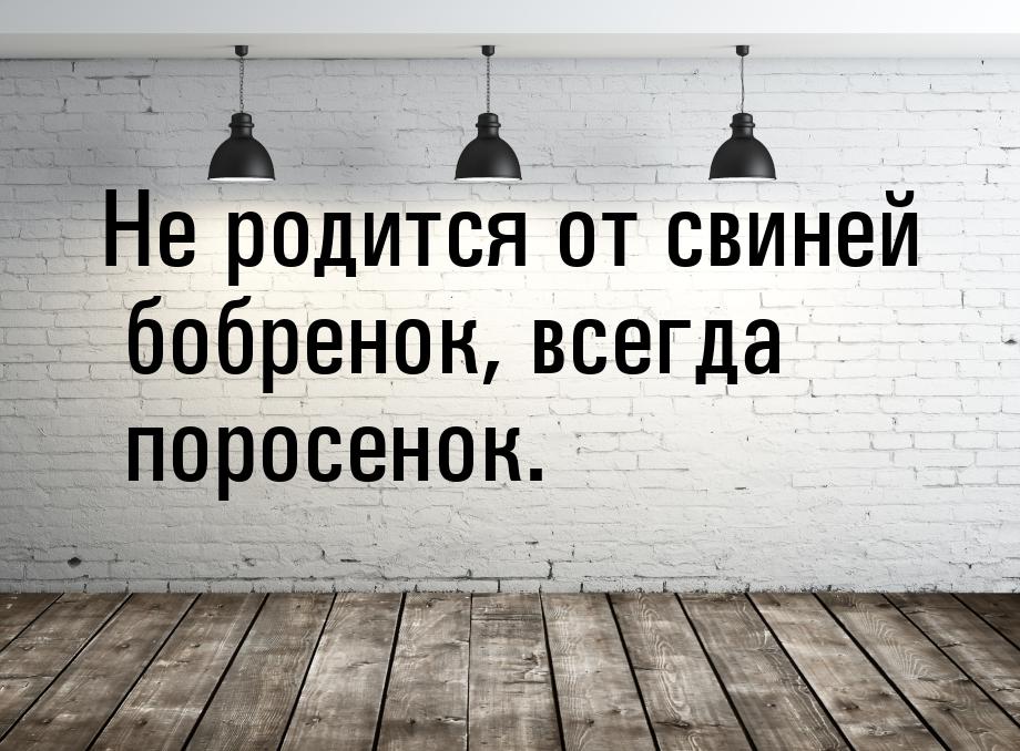 Не родится от свиней бобренок, всегда поросенок.