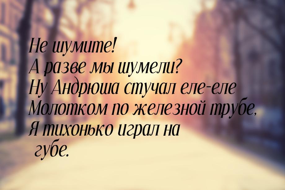 Не шумите! А разве мы шумели? Ну Андрюша стучал еле-еле Молотком по железной трубе, Я тихо