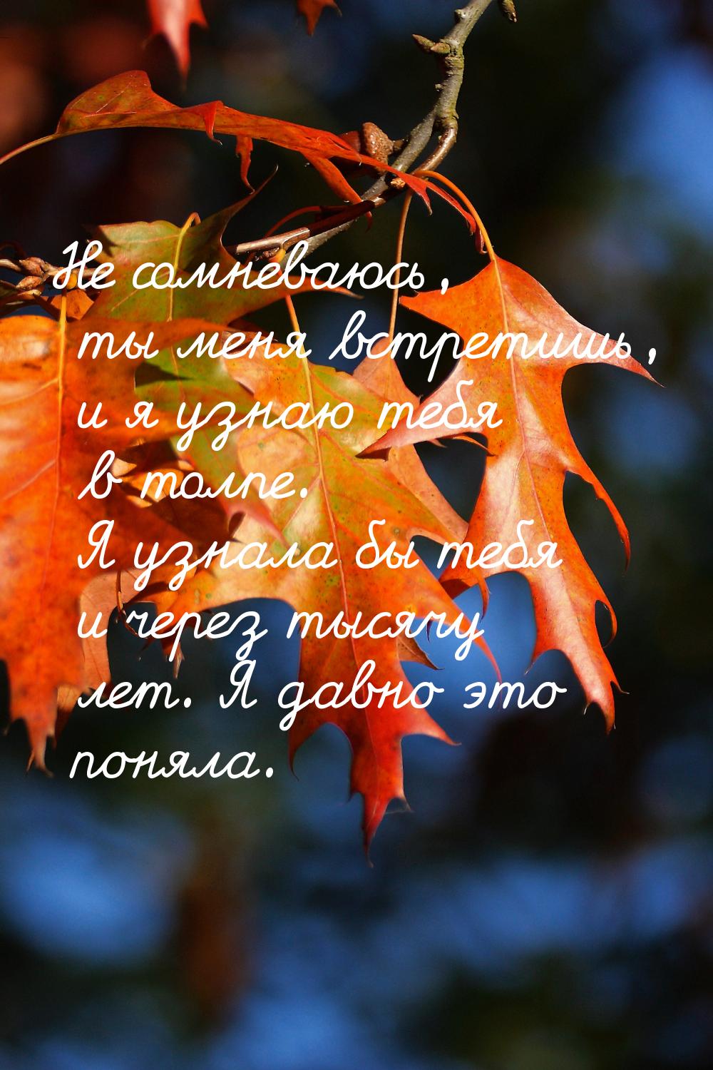 Не сомневаюсь, ты меня встретишь, и я узнаю тебя в толпе. Я узнала бы тебя и через тысячу 