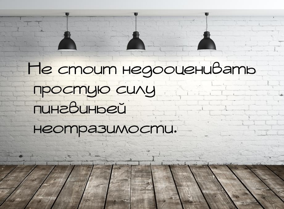 Не стоит недооценивать простую силу пингвиньей неотразимости.