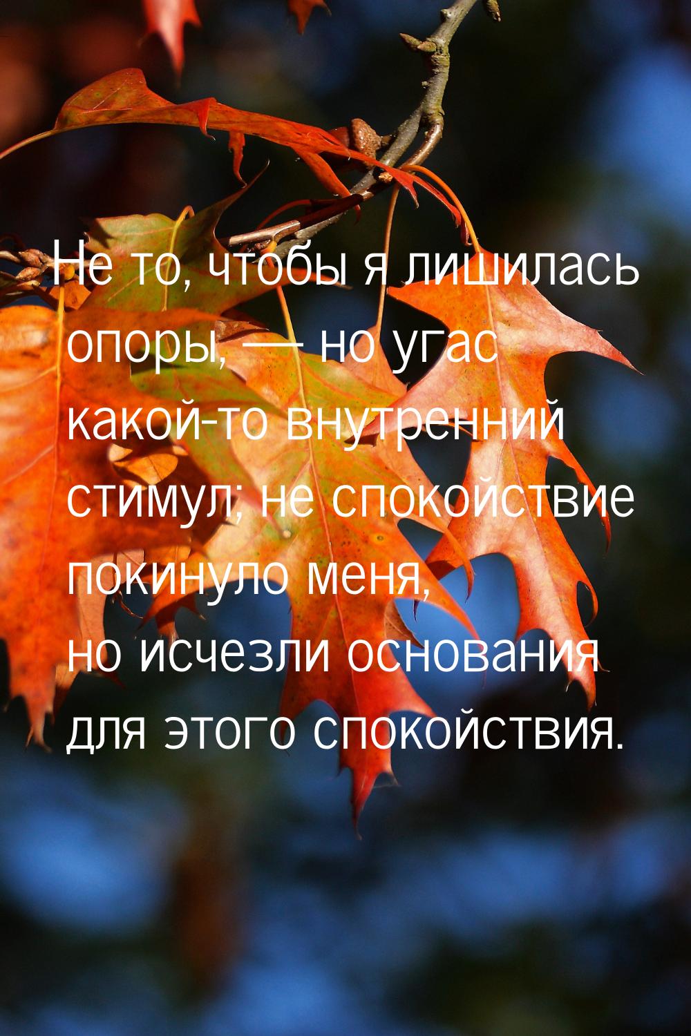 Не то, чтобы я лишилась опоры, — но угас какой-то внутренний стимул; не спокойствие покину