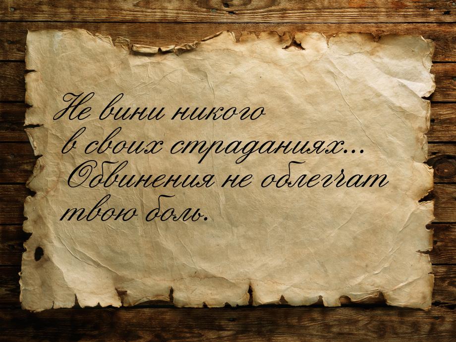 Не вини никого в своих страданиях... Обвинения не облегчат твою боль.