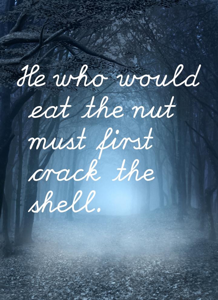 Не who would eat the nut must first crack the shell.