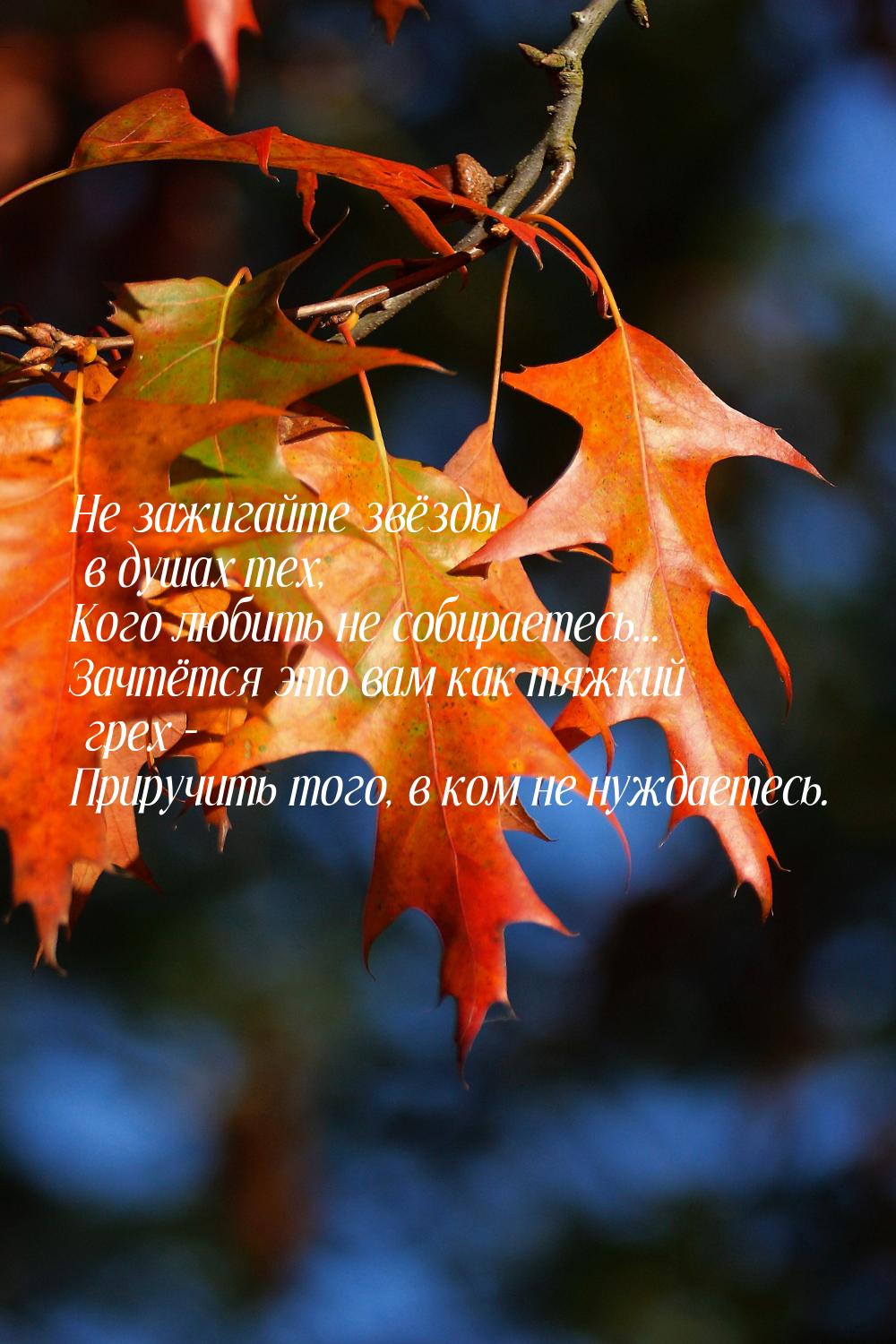 Не зажигайте звёзды в душах тех, Кого любить   не собираетесь... Зачтётся это вам  как тяж