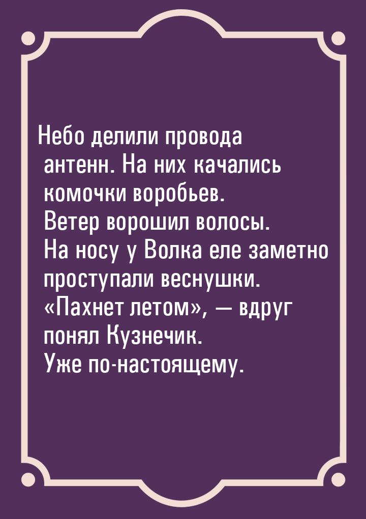 Небо делили провода антенн. На них качались комочки воробьев. Ветер ворошил волосы. На нос