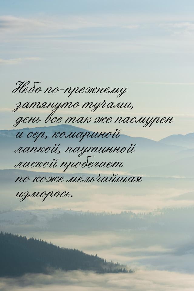 Небо по-прежнему затянуто тучами, день все так же пасмурен и сер, комариной лапкой, паутин