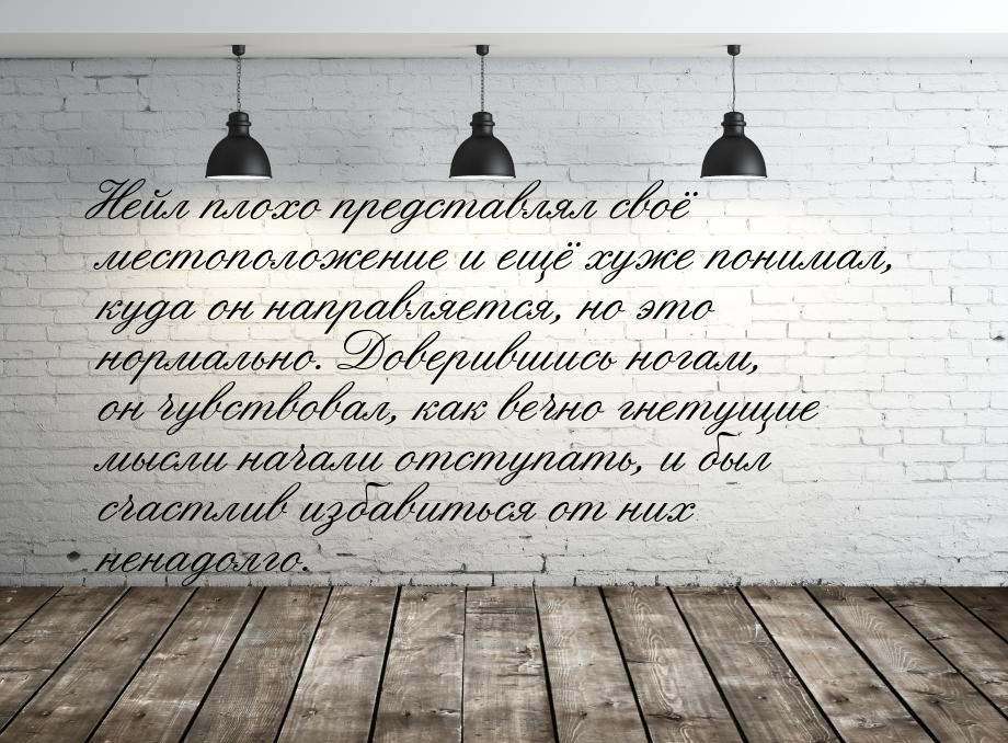 Нейл плохо представлял своё местоположение и ещё хуже понимал, куда он направляется, но эт