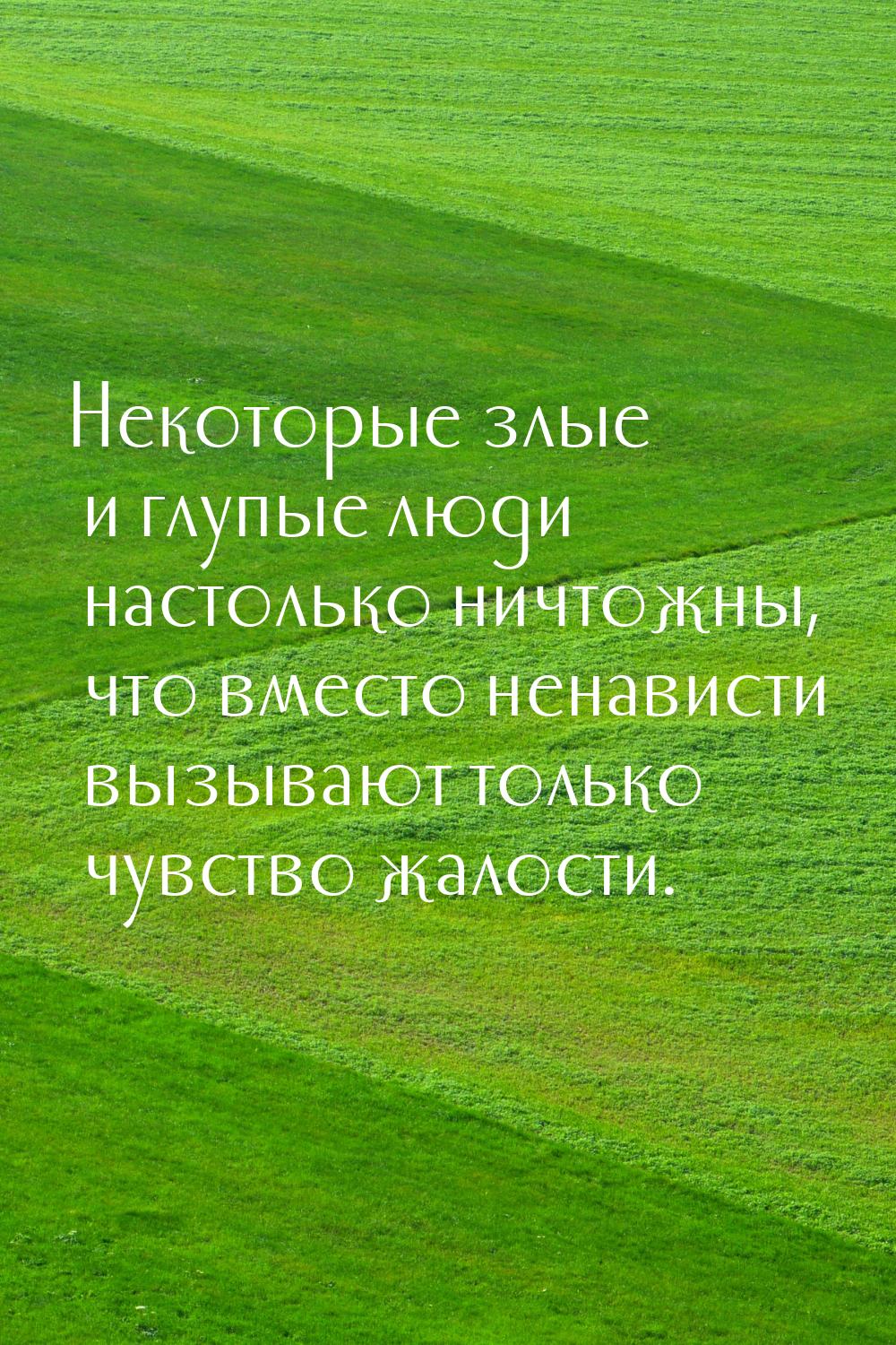 Некоторые злые и глупые люди настолько ничтожны, что вместо ненависти вызывают только чувс