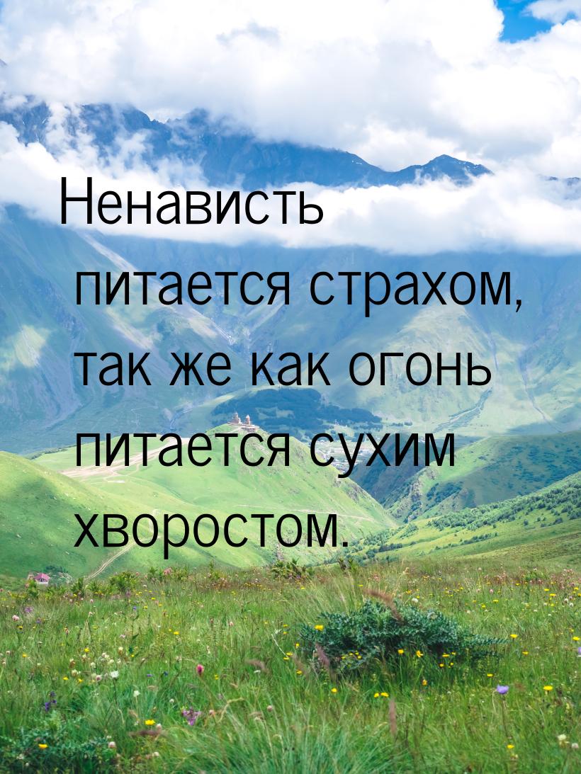 Ненависть питается страхом, так же как огонь питается сухим хворостом.