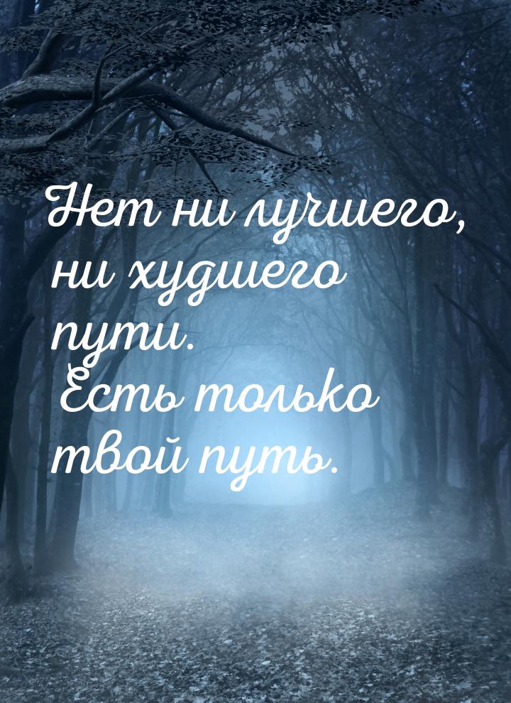 Нет ни лучшего, ни худшего пути. Есть только твой путь.