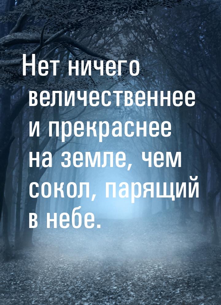 Нет ничего величественнее и прекраснее на земле, чем сокол, парящий в небе.