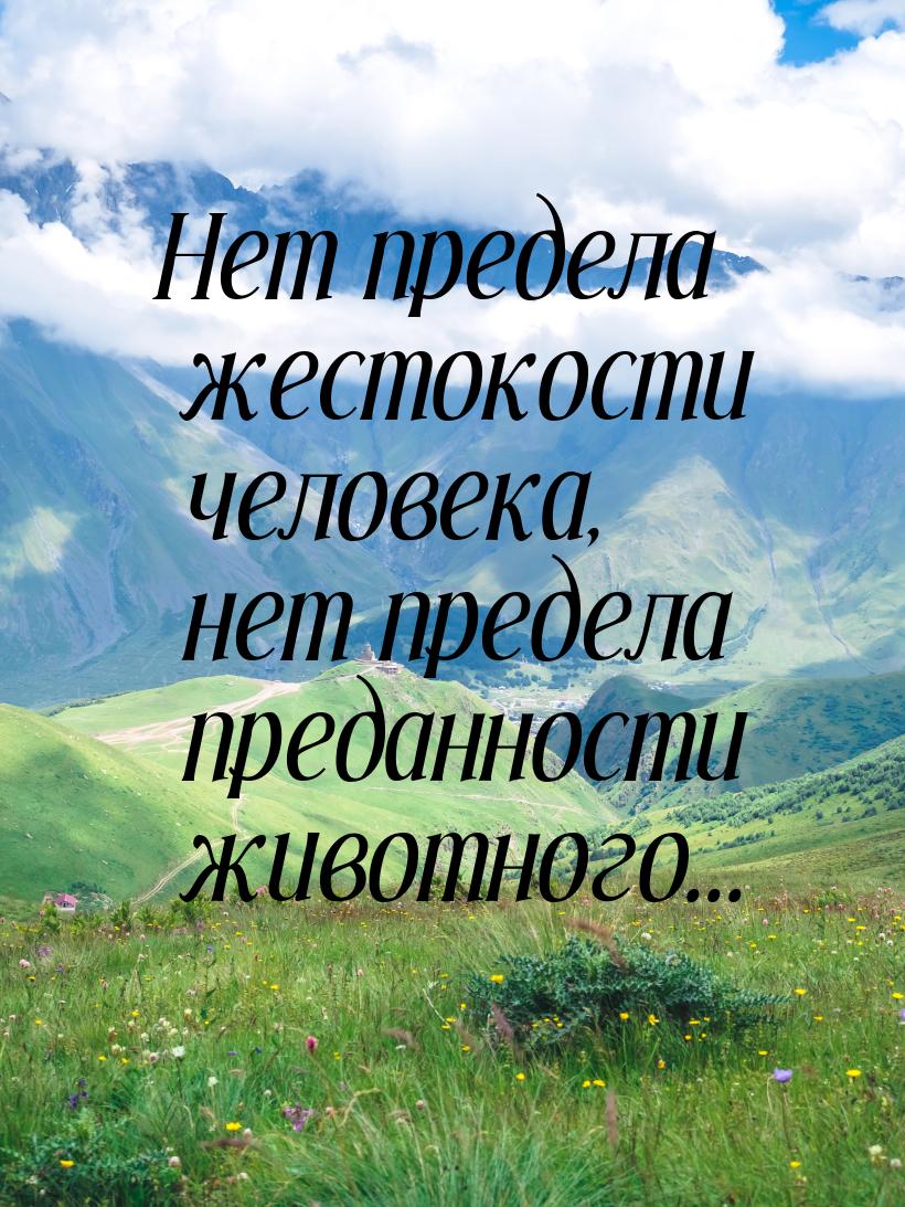 Нет предела жестокости человека, нет предела преданности животного...