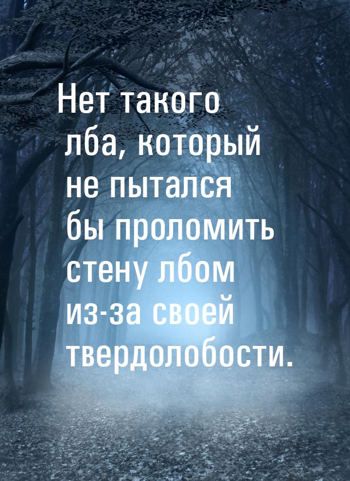 Нет такого лба, который не пытался бы проломить стену лбом из-за своей твердолобости.