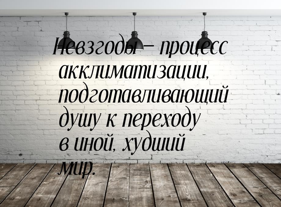 Невзгоды  процесс акклиматизации, подготавливающий душу к переходу в иной, худший м