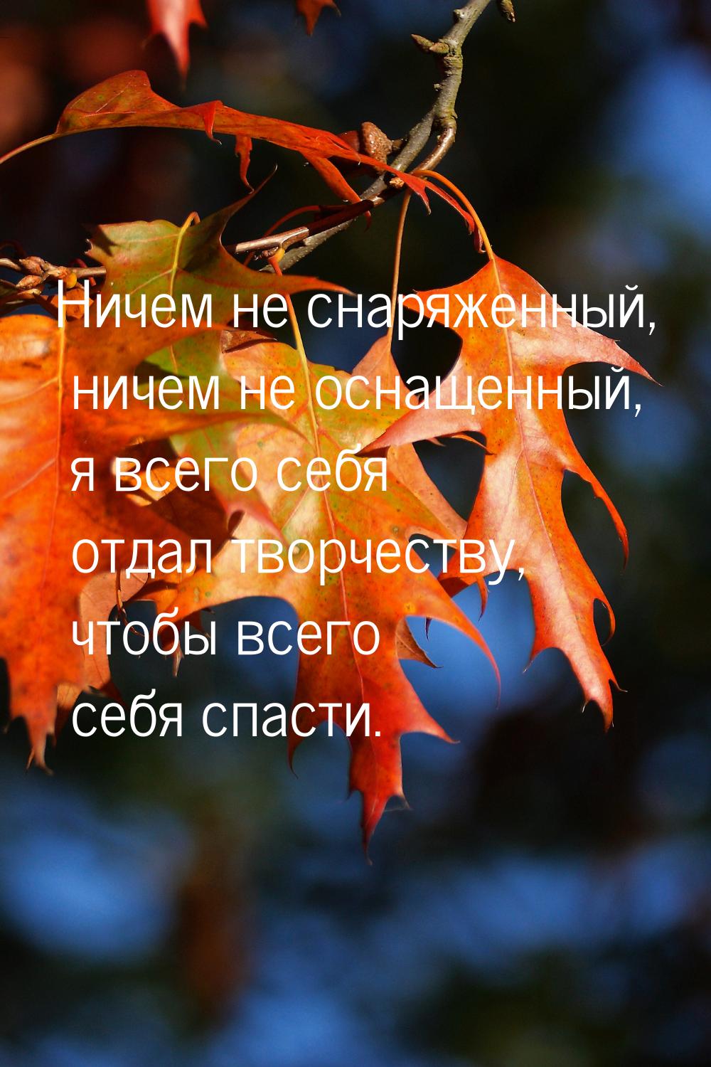 Ничем не снаряженный, ничем не оснащенный, я всего себя отдал творчеству, чтобы всего себя