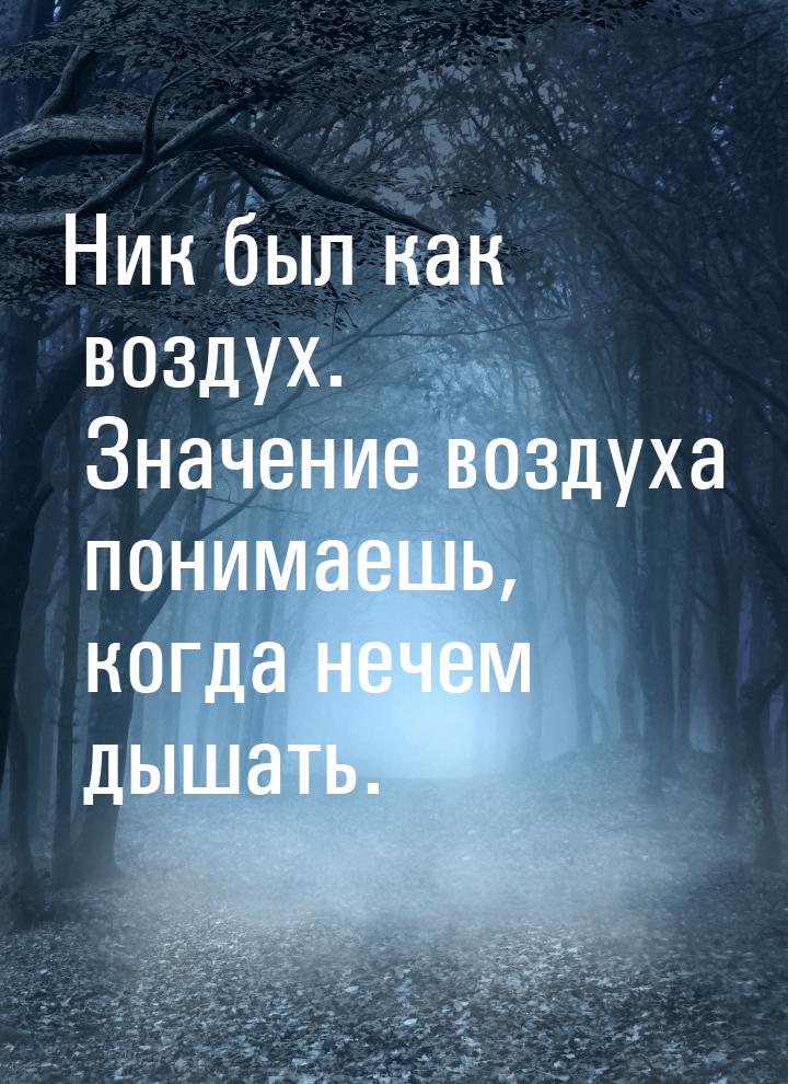 Ник был как воздух. Значение воздуха понимаешь, когда нечем дышать.