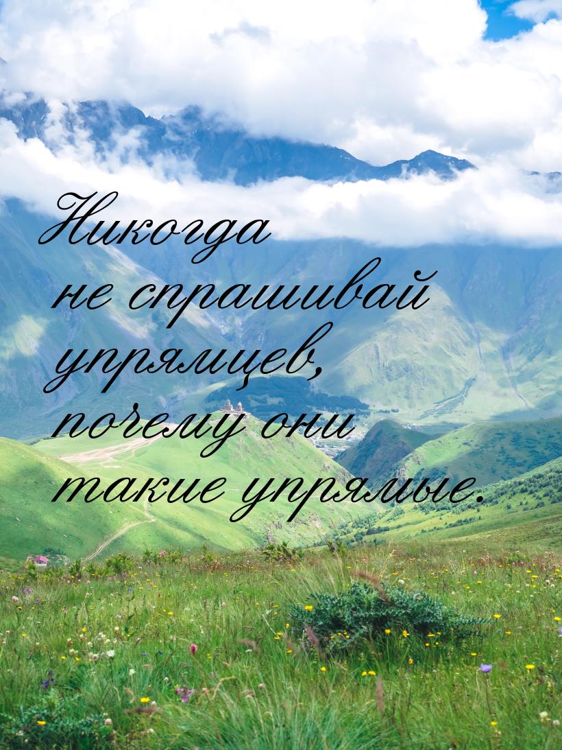 Никогда не спрашивай упрямцев, почему они такие упрямые.