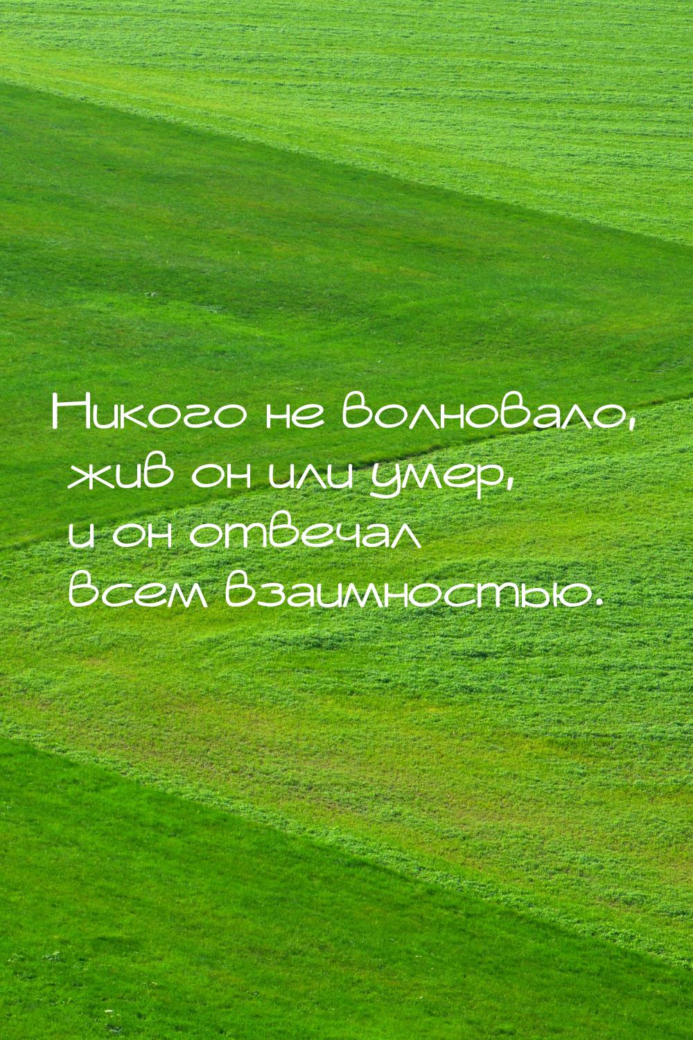 Никого не волновало, жив он или умер, и он отвечал всем взаимностью.